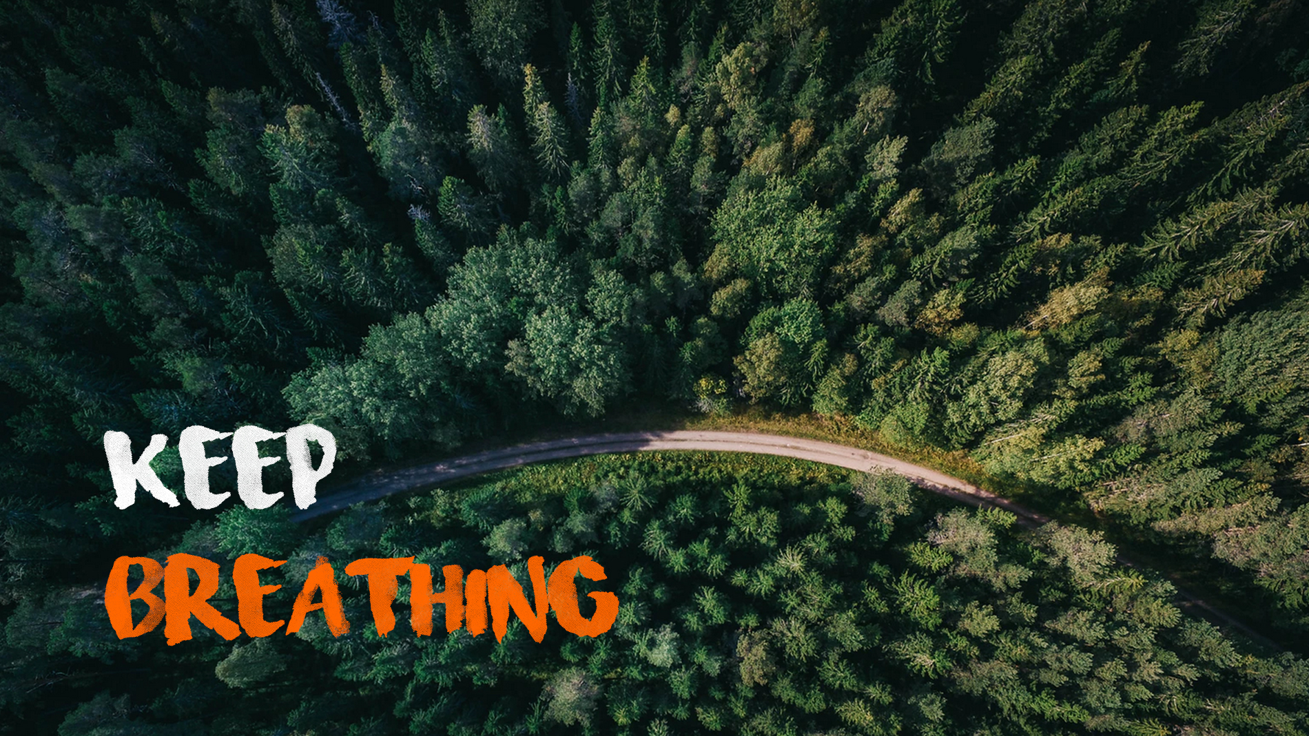 Luftbild eines Waldes – Keep Breathing